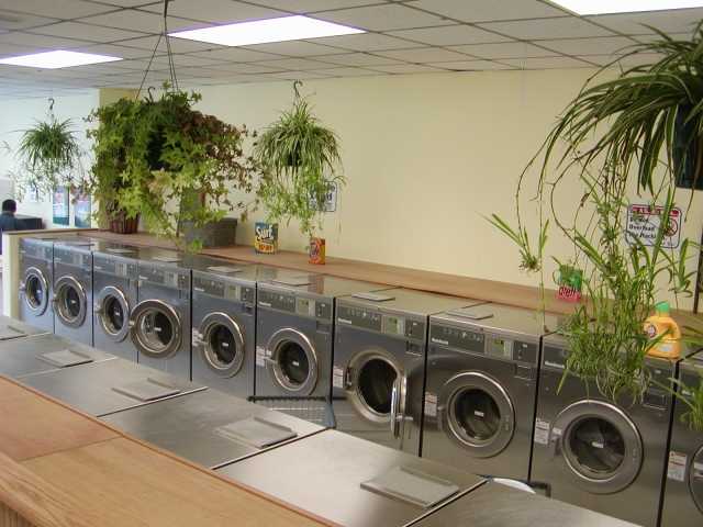 Large Washers and colorful plants Thumbnail